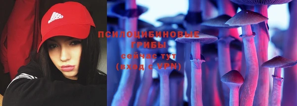 индика Остров