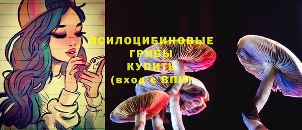 индика Остров