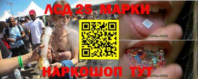 гидра Гай