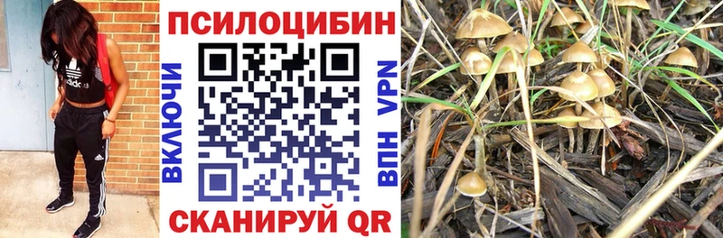 Галлюциногенные грибы прущие грибы Избербаш