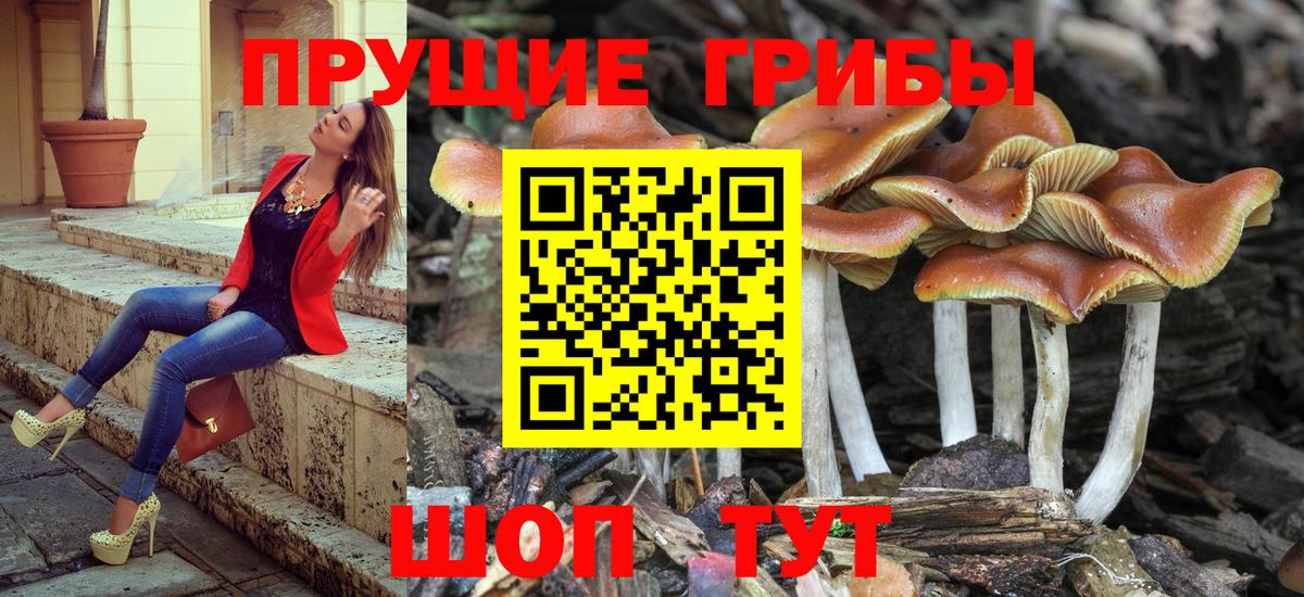 Избербаш  Псилоцибиновые грибы Magic Shrooms  Вход с VPN 