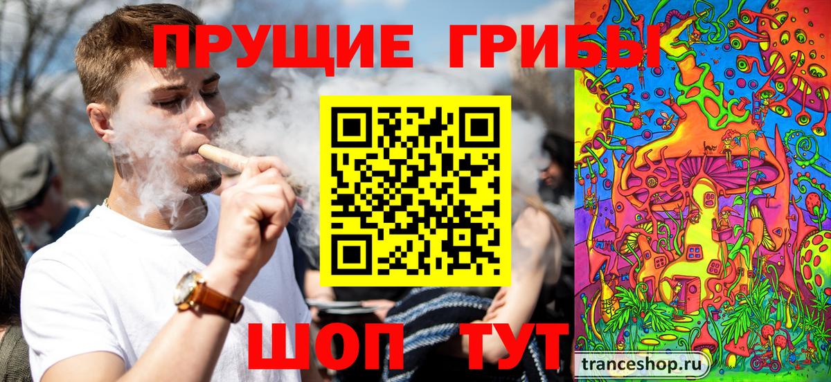 хочу наркоту  Избербаш  Галлюциногенные грибы Magic Shrooms 