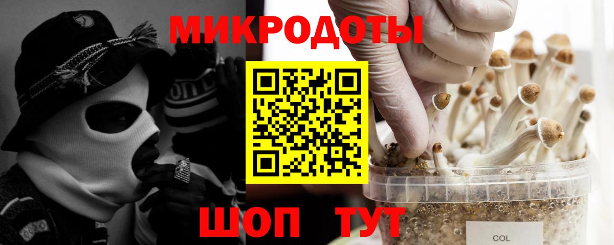 Псилоцибиновые грибы мухоморы Избербаш